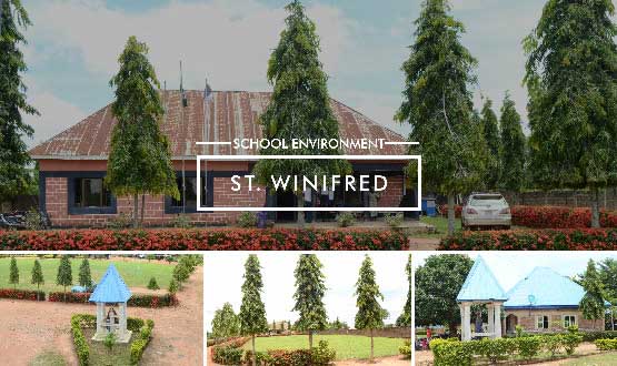 Saint Winifred: School Environment